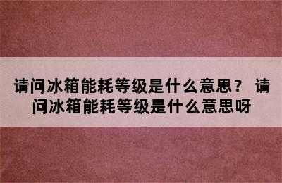 请问冰箱能耗等级是什么意思？ 请问冰箱能耗等级是什么意思呀